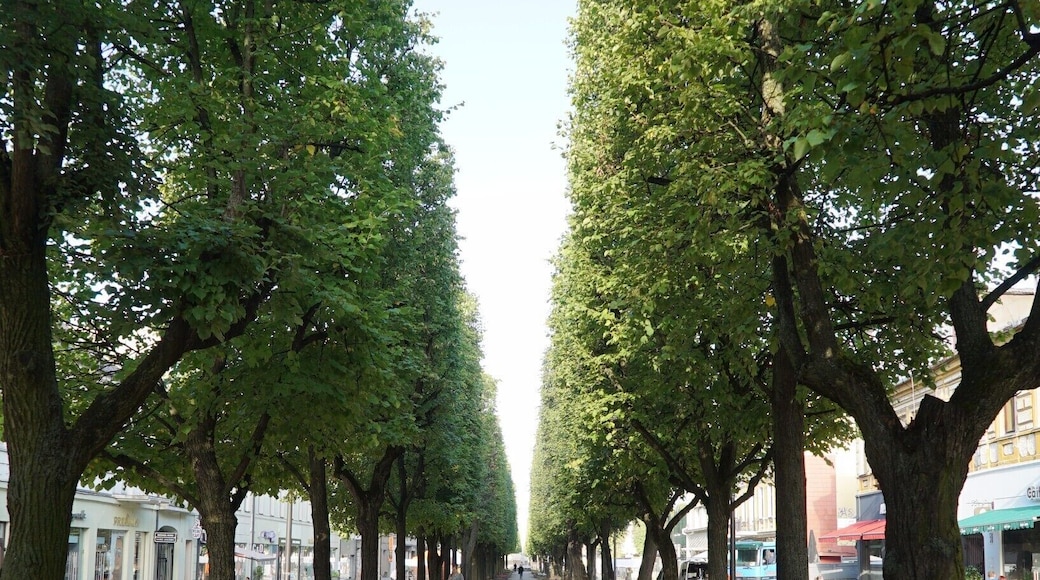 One of the longest outdoor pedestrian malls I've ever seen. It is lined with upscale shops and nice restaurants.