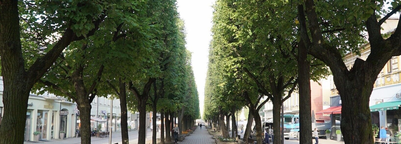 One of the longest outdoor pedestrian malls I've ever seen. It is lined with upscale shops and nice restaurants.
