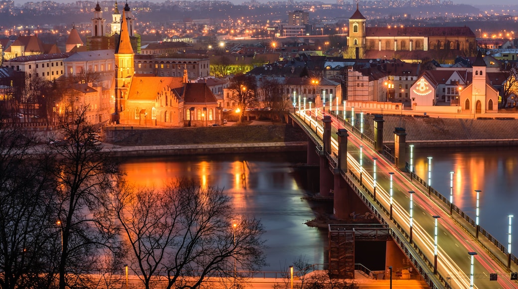 Night panorama of the river and Kaunas from Aleksotas hill, Kaunas, Lithuania.