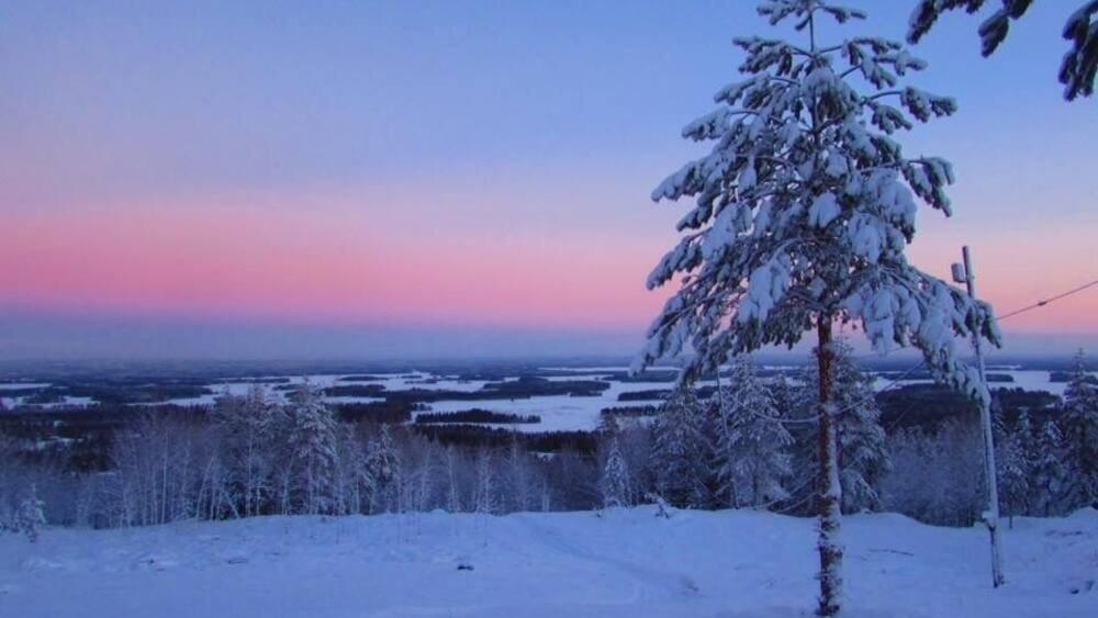 A snow-covered landscape with a tree in the foreground and a distant view of a flat terrain under a twilight sky.