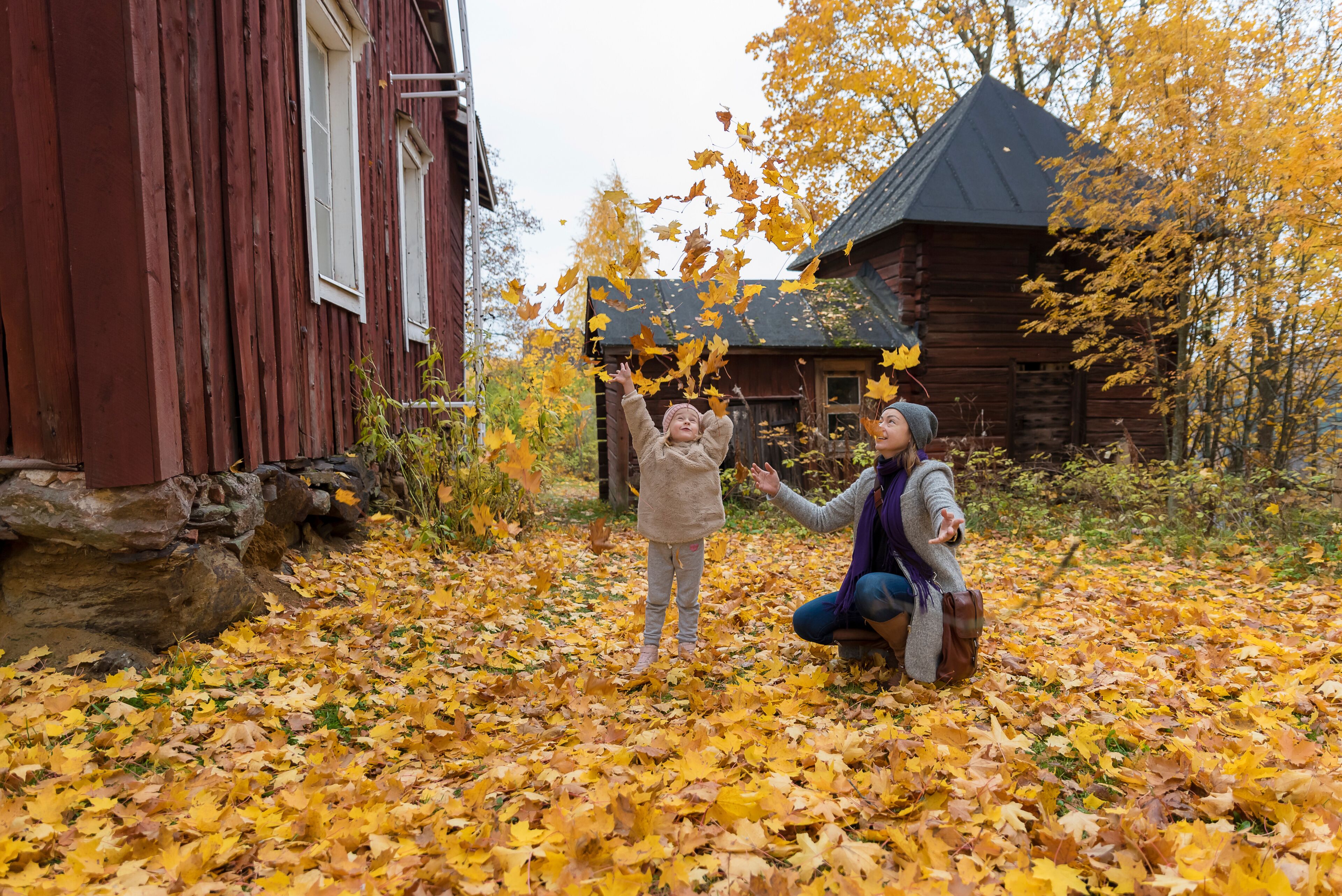 A rustic wooden cabin surrounded by autumn leaves.