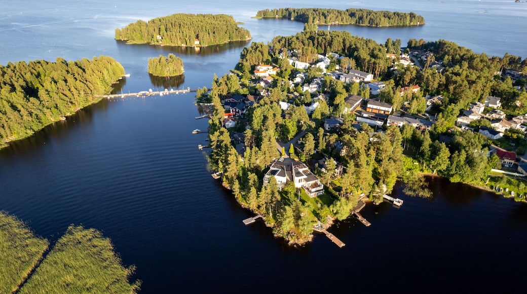 An aerial view of a lakeside community with dense forestation, a dock, and residential buildings.