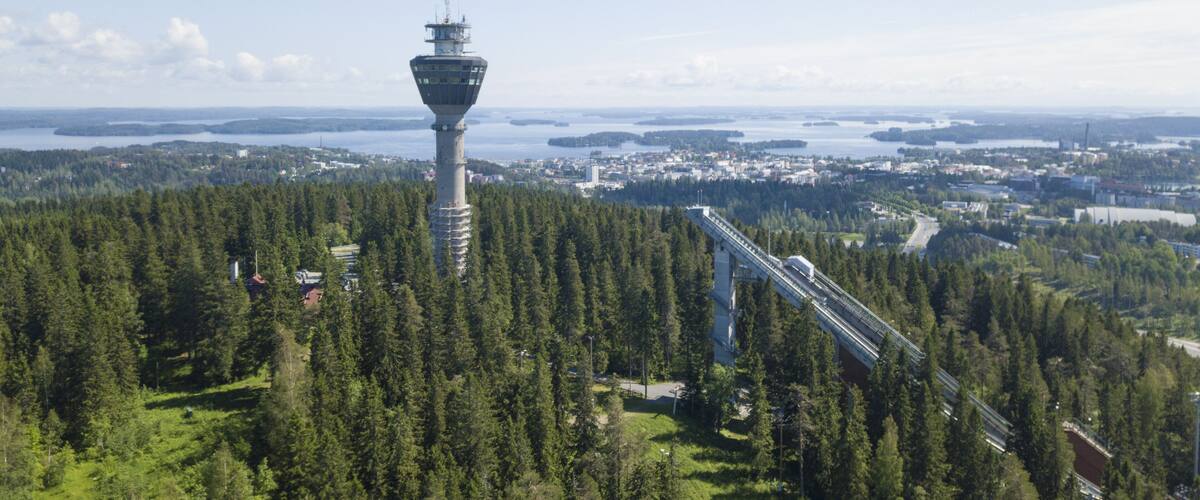 A tower, a forest, and a bridge.