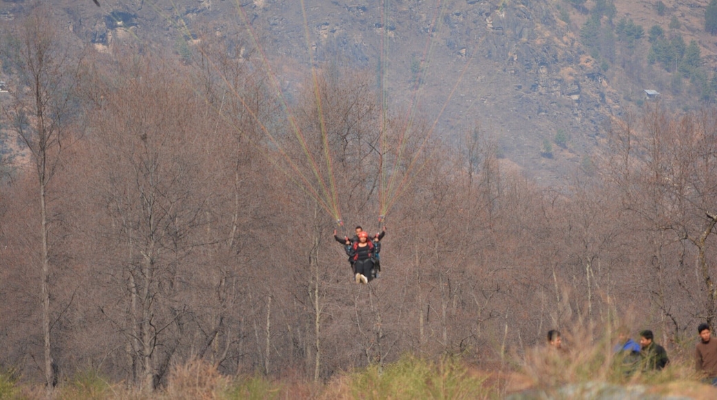 adventure ride# paragliding# do it for the bird's eye view of manali....
