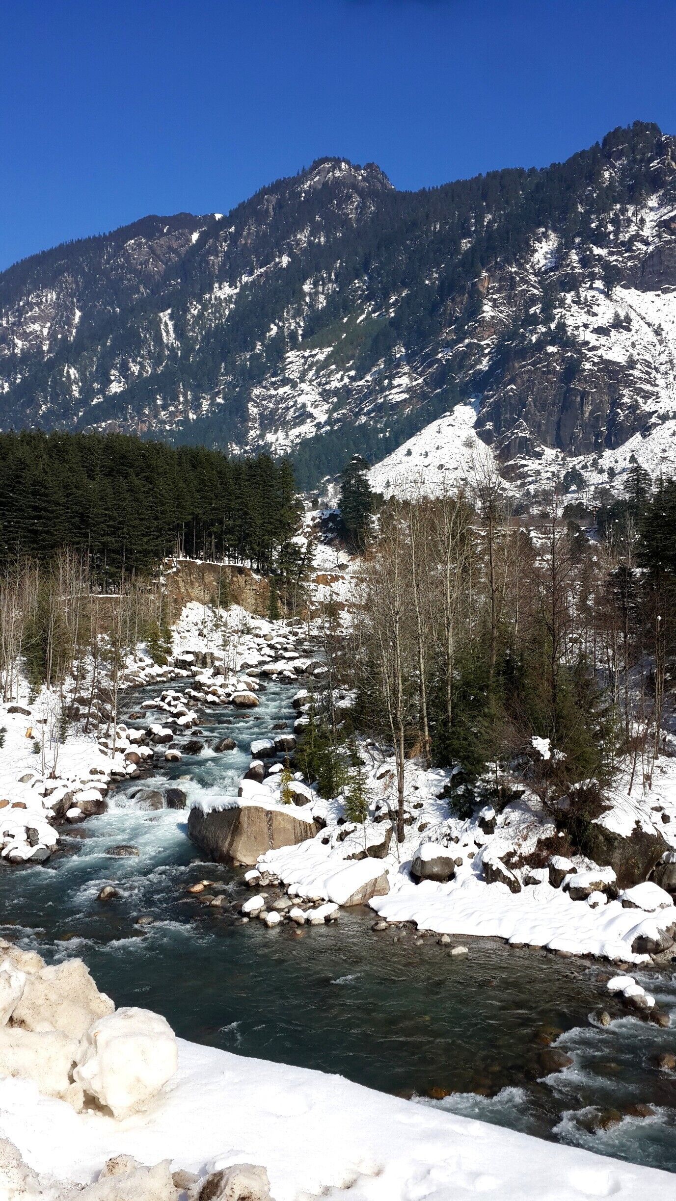 Somewhere between Manali and Kullu on our way to the Kullu bus stand to catch our bus after the big #snow of December 2014. The green of the Beas River is amazing. I can't wait to visit this place in the summer.