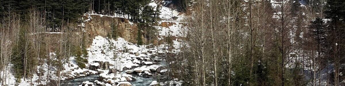 Somewhere between Manali and Kullu on our way to the Kullu bus stand to catch our bus after the big #snow of December 2014. The green of the Beas River is amazing. I can't wait to visit this place in the summer.