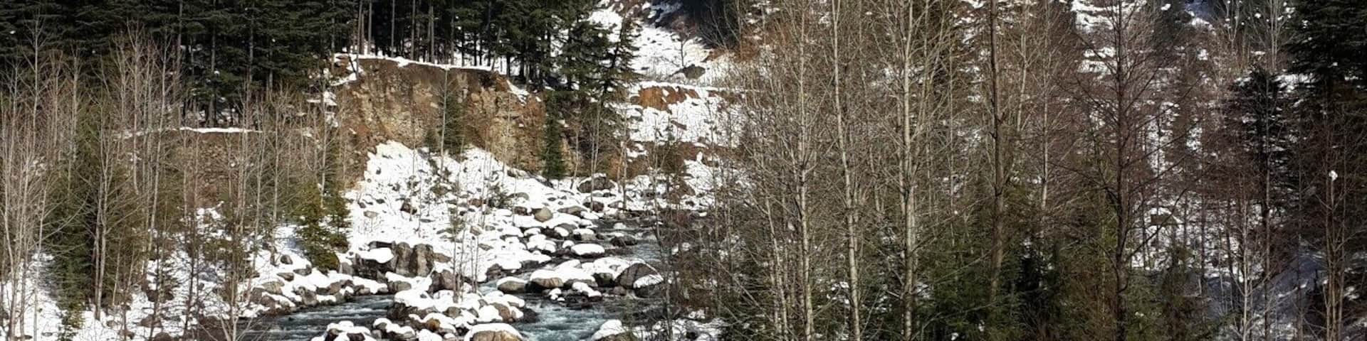 Somewhere between Manali and Kullu on our way to the Kullu bus stand to catch our bus after the big #snow of December 2014. The green of the Beas River is amazing. I can't wait to visit this place in the summer.