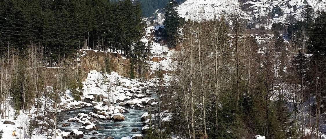 Somewhere between Manali and Kullu on our way to the Kullu bus stand to catch our bus after the big #snow of December 2014. The green of the Beas River is amazing. I can't wait to visit this place in the summer.