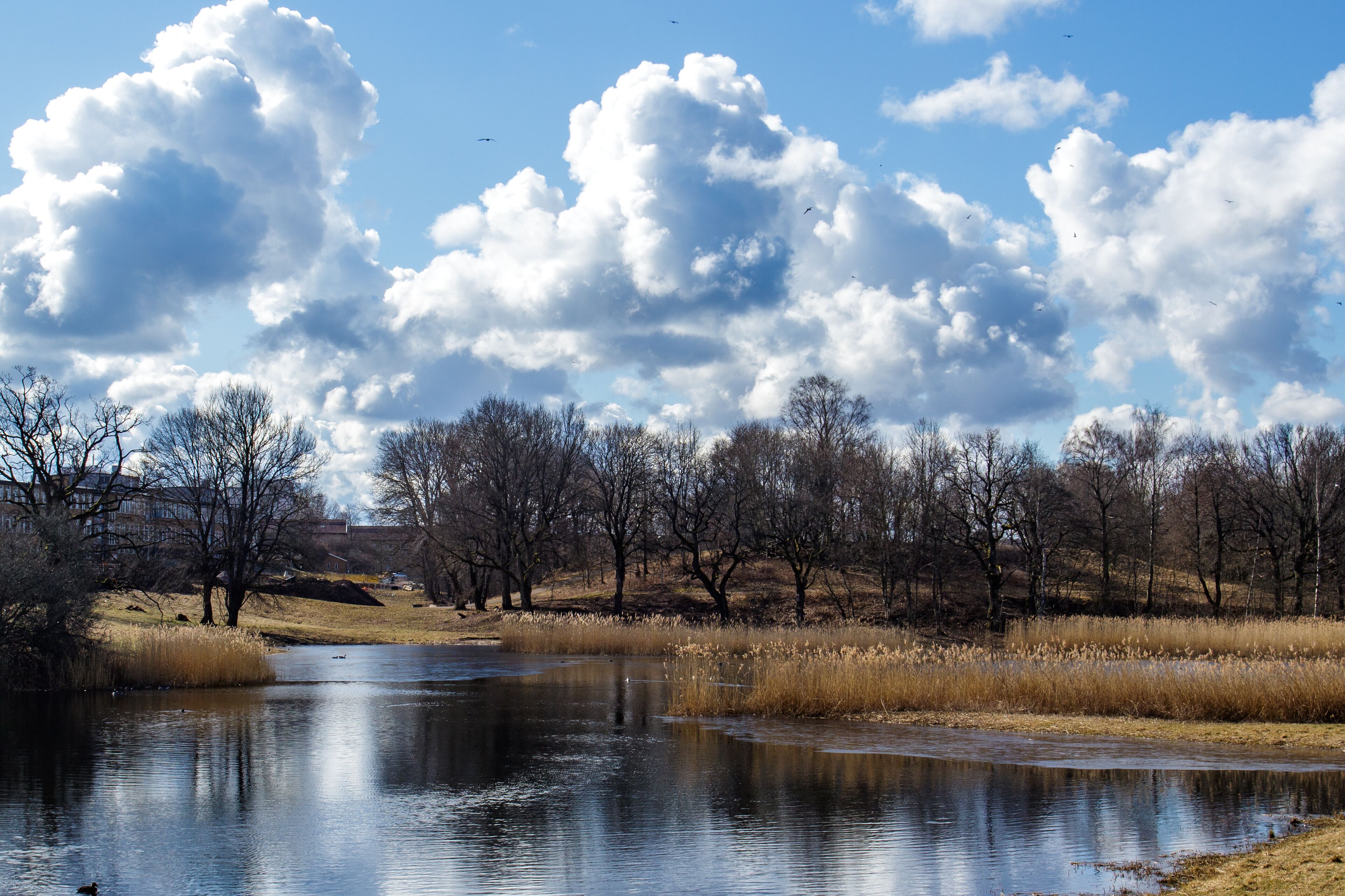 Kleiner See bei Skövde, Schweden