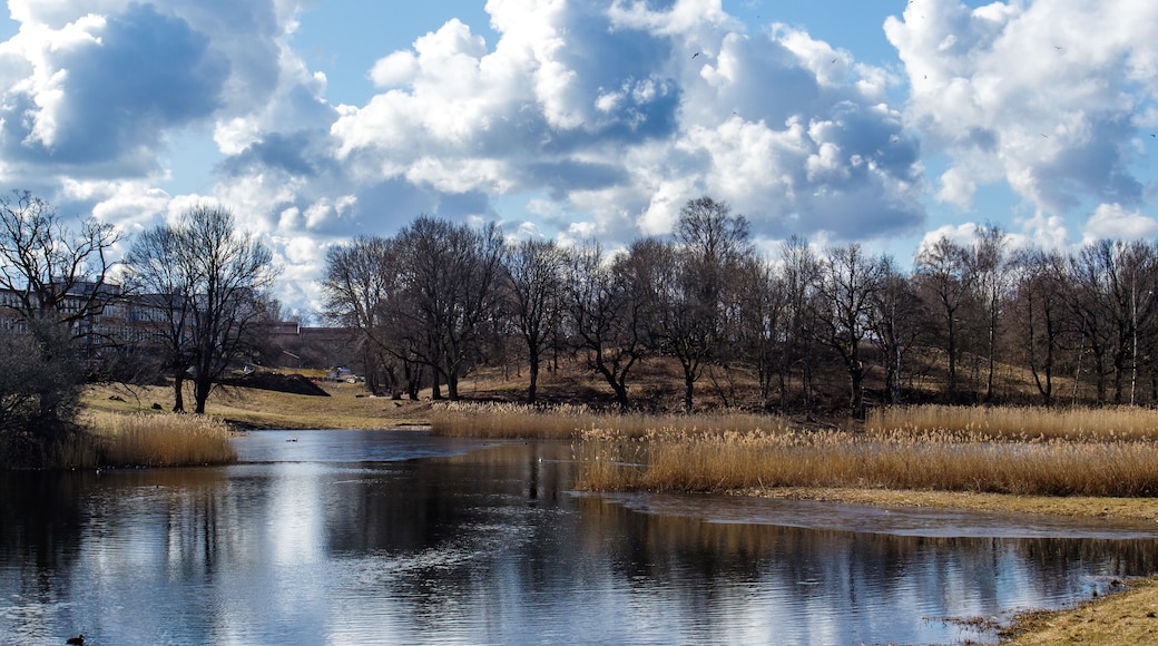 Kleiner See bei Skövde, Schweden