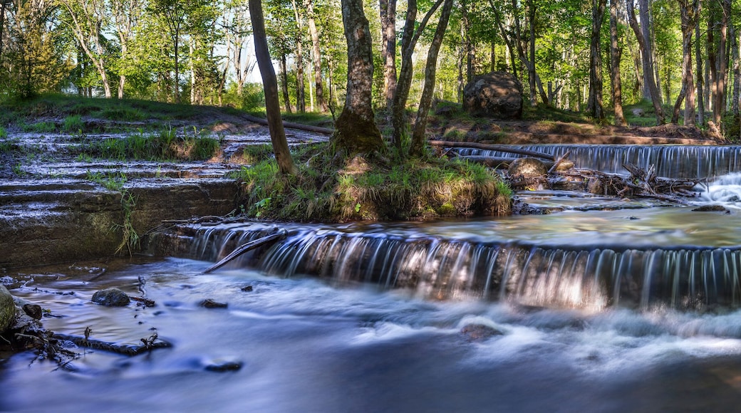 Silverfallet Staircase Waterfall illuminated by low rays of the sun in Lush serene forest and rural mill environment near town Skovde, Sweden