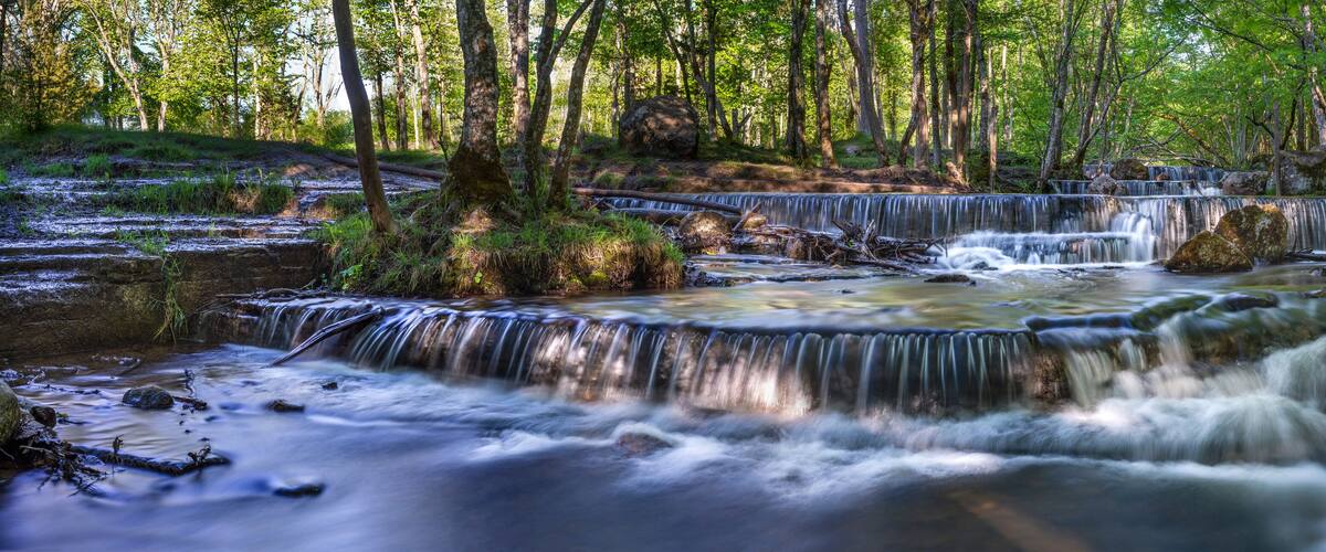 A waterfall in a forested area with multiple cascades and surrounding greenery.