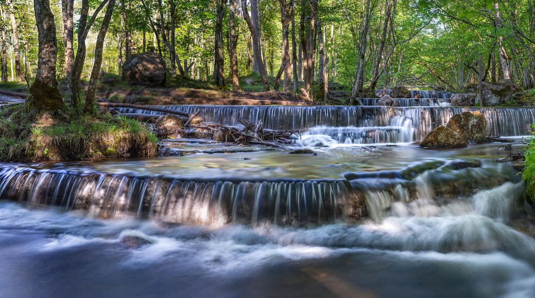 Silverfallet Nature reserve and staircase Waterfall in Lush forest and rural mill environment near town Skovde, Sweden