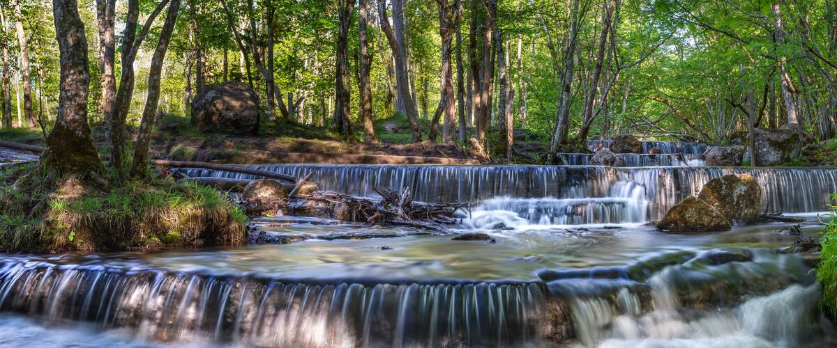 Silverfallet Nature reserve and staircase Waterfall in Lush forest and rural mill environment near town Skovde, Sweden