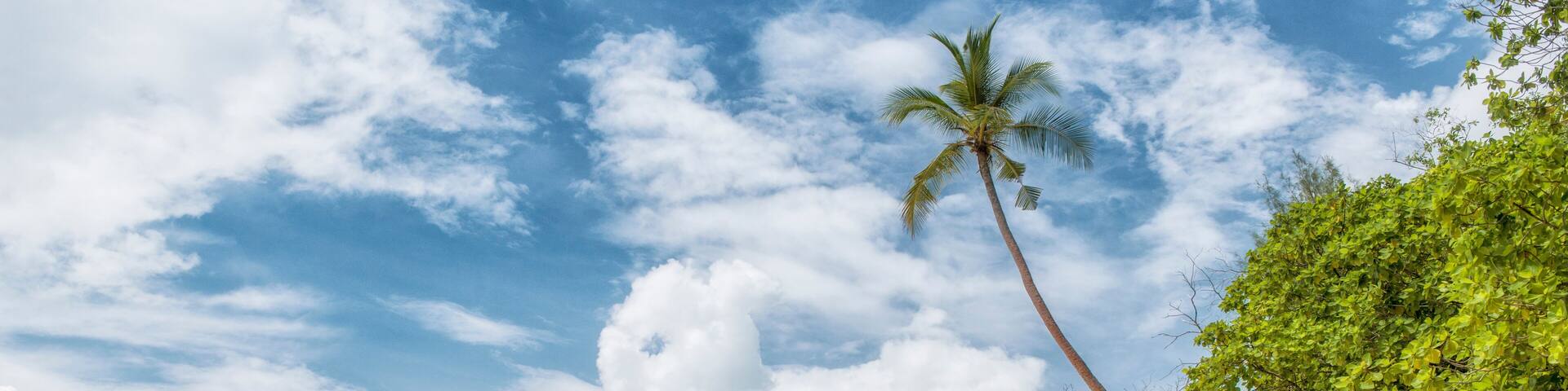 Paradise beach on Lissenung island in Papua New Guinea