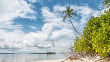 Paradise beach on Lissenung island in Papua New Guinea