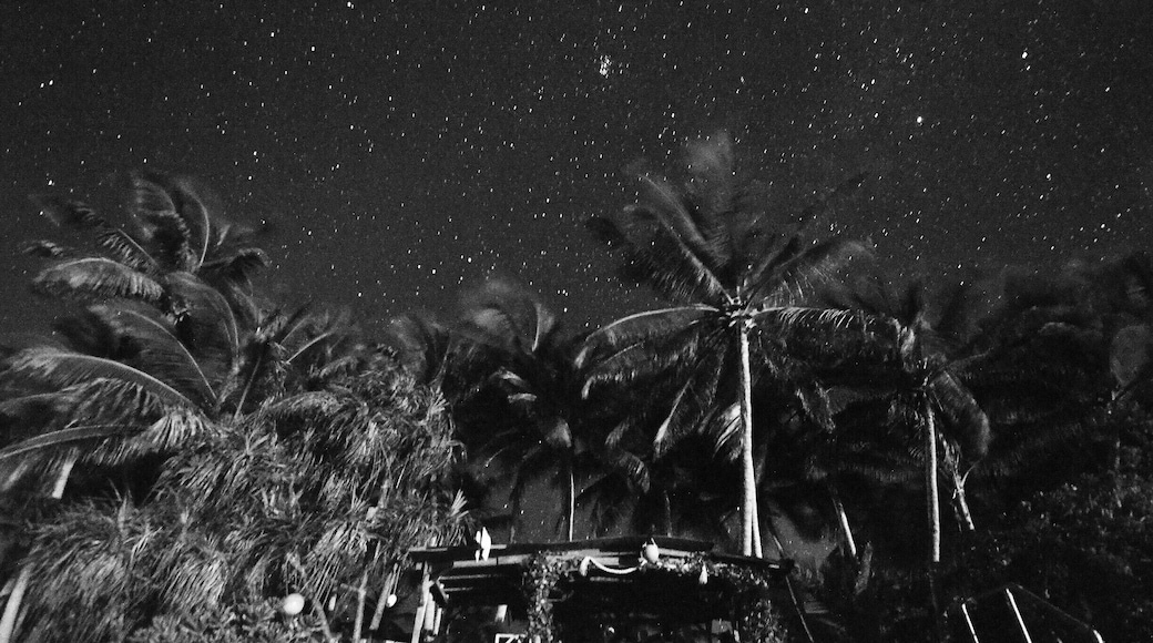 Go for the stars. It's like the stars you'll see in Antarctica, only it's so warm you'll lie half submerged in the ocean.