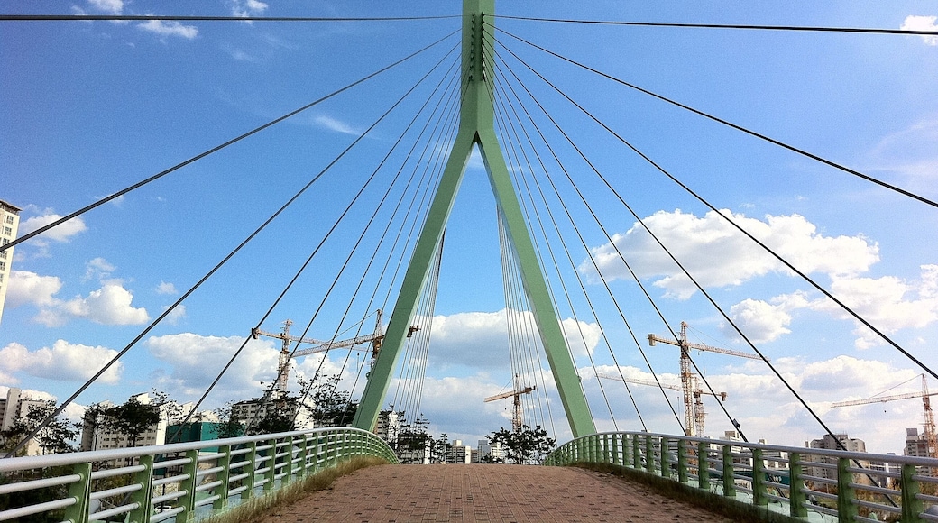 광주 광산구 수완동 호수공원 다리(이름모름)