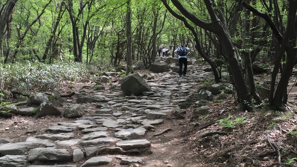 Trail on the way down.