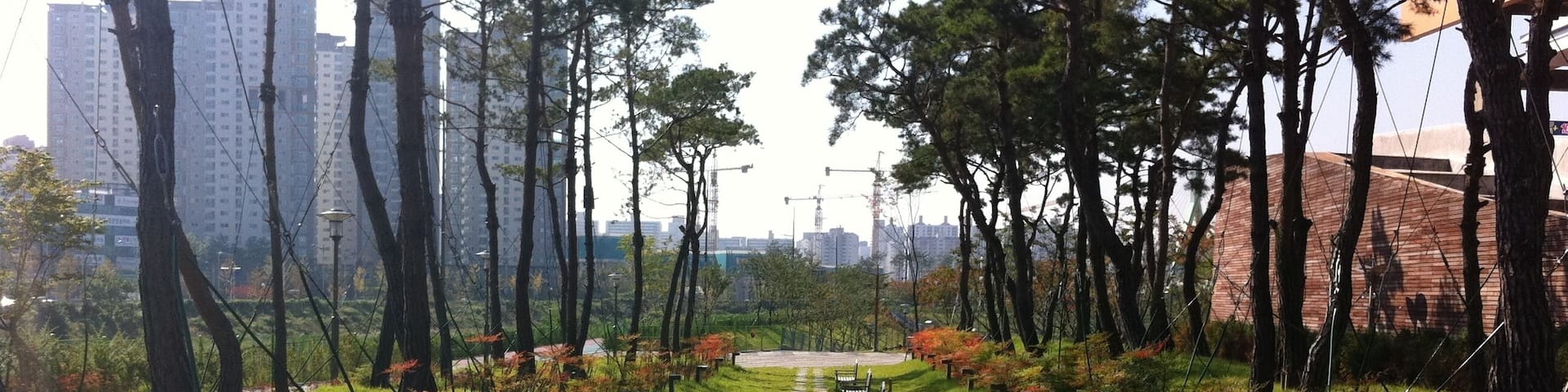 광주 광산구 수완 호수공원 롯데마트앞 #2