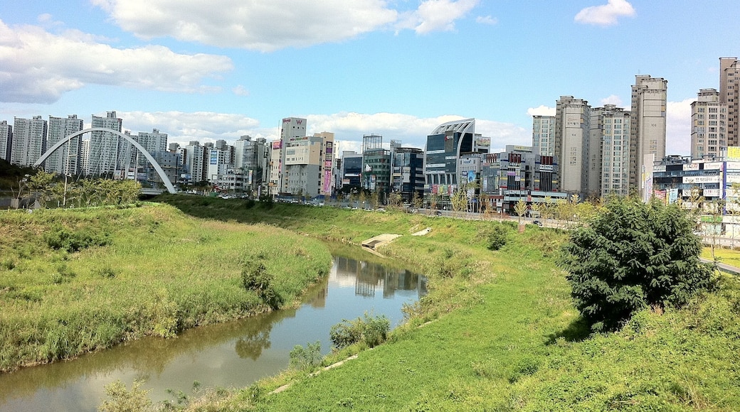 광주 광산구 수완동 호수공원 및 풍영정천