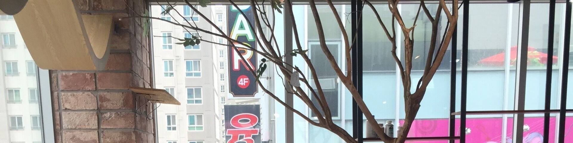 Nice clean facility with lots of lovey kitties.