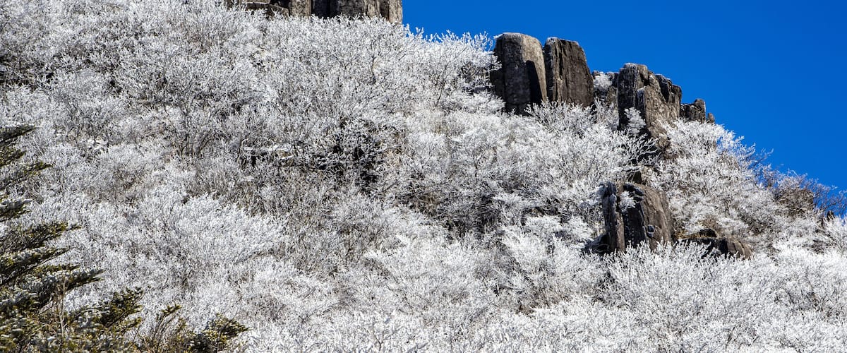 A snow-covered mountain with rocky outcrops and sparse vegetation.
