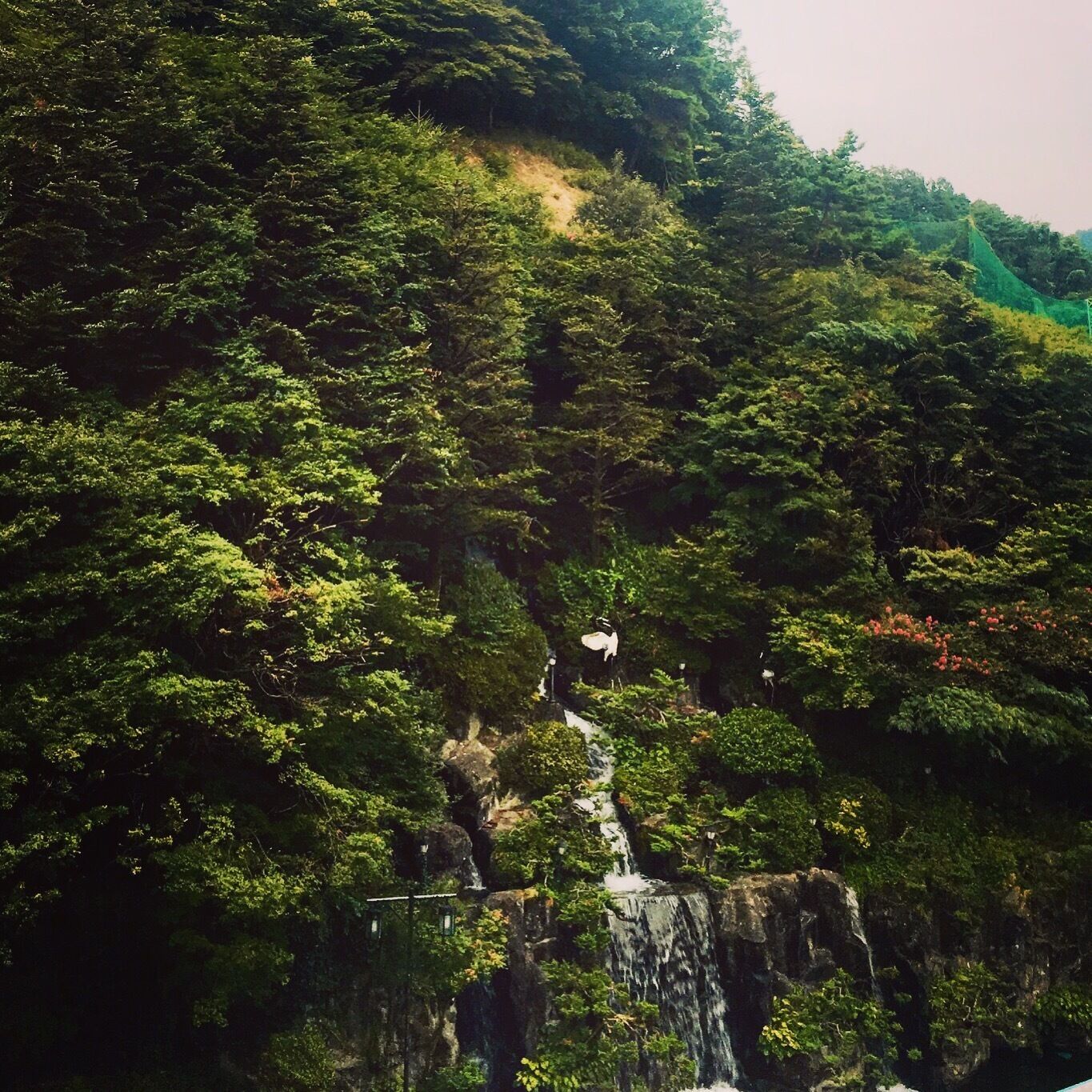 Taking a hike up this mountain takes an hour, but it's truly beautiful! #green #greenphotosweepstakes