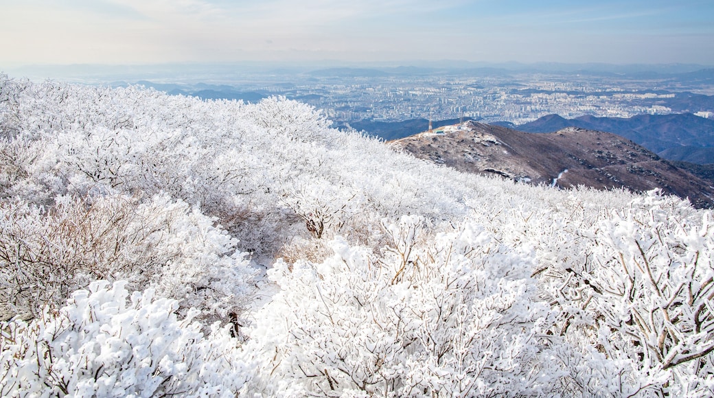 Aerial and winter view of hoarfrost on the tree and ridge of Mudeungsan Mountain with the background of downtown Gwangju, South Korea