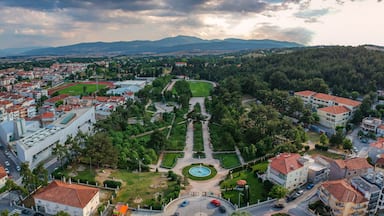 A town with a central park, a fountain, and surrounding residential buildings.