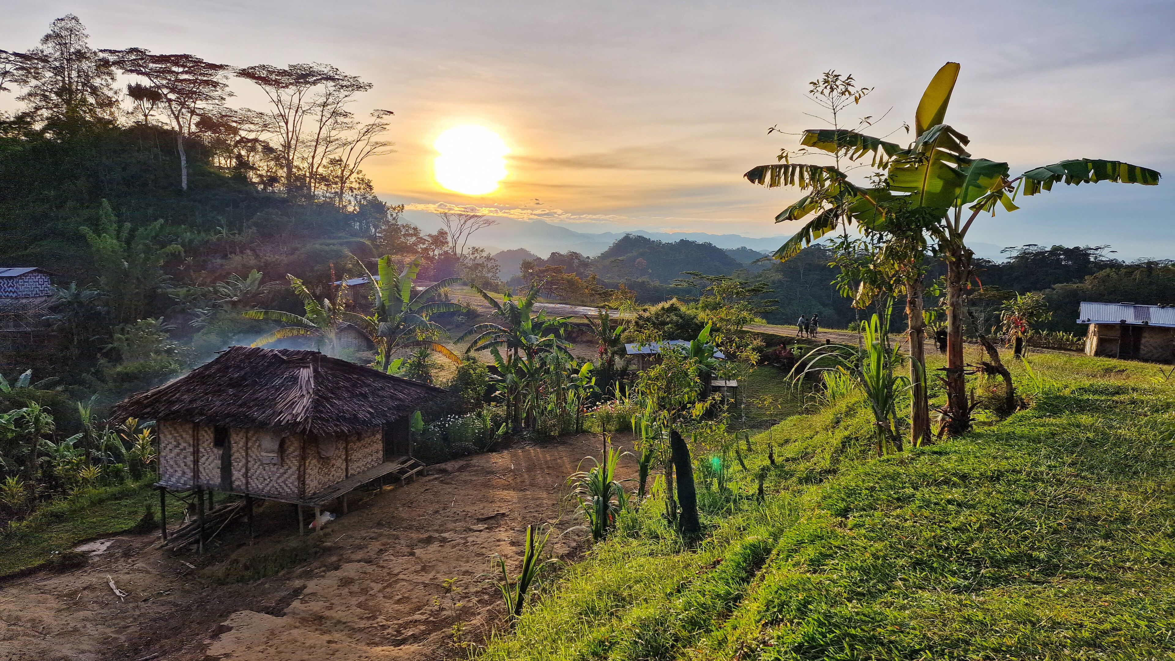 A rural landscape with a thatched-roof hut, banana trees, and a dirt path.