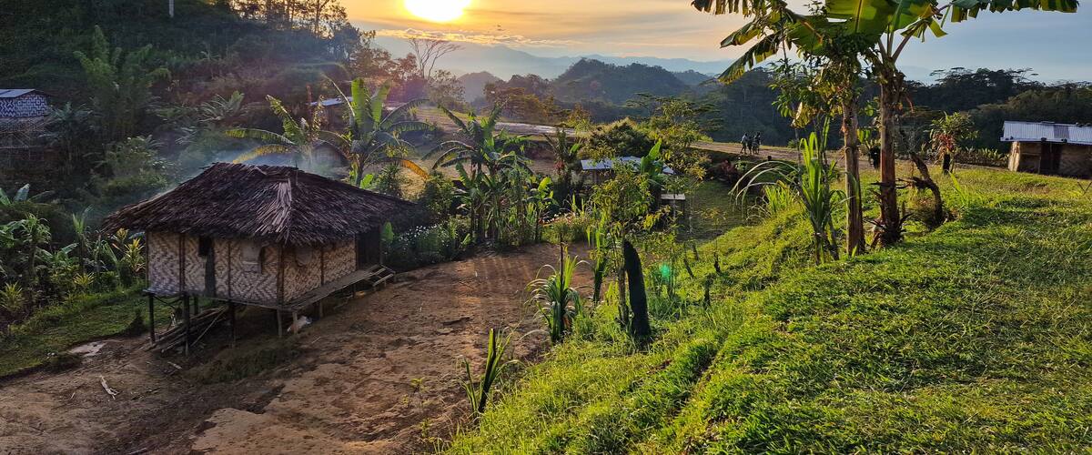 A rural landscape with a thatched-roof hut, banana trees, and a dirt path.