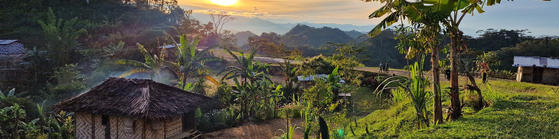 A rural landscape with a thatched-roof hut, banana trees, and a dirt path.
