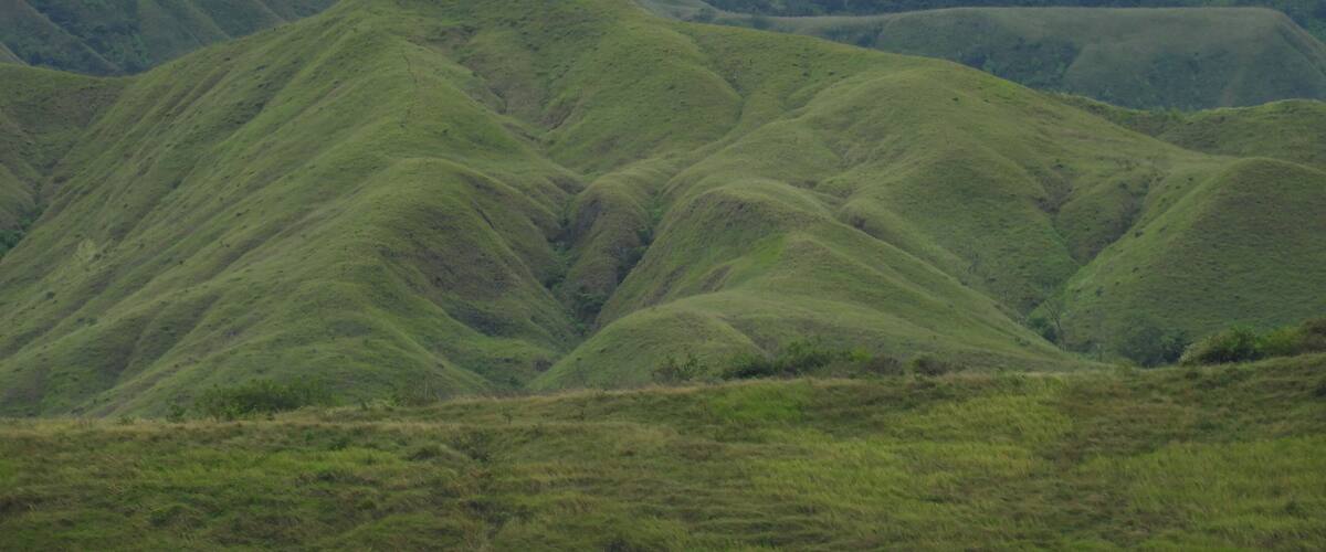Des collines verdoyantes et ondulées, avec une montagne en arrière-plan, partiellement masquée par des nuages.