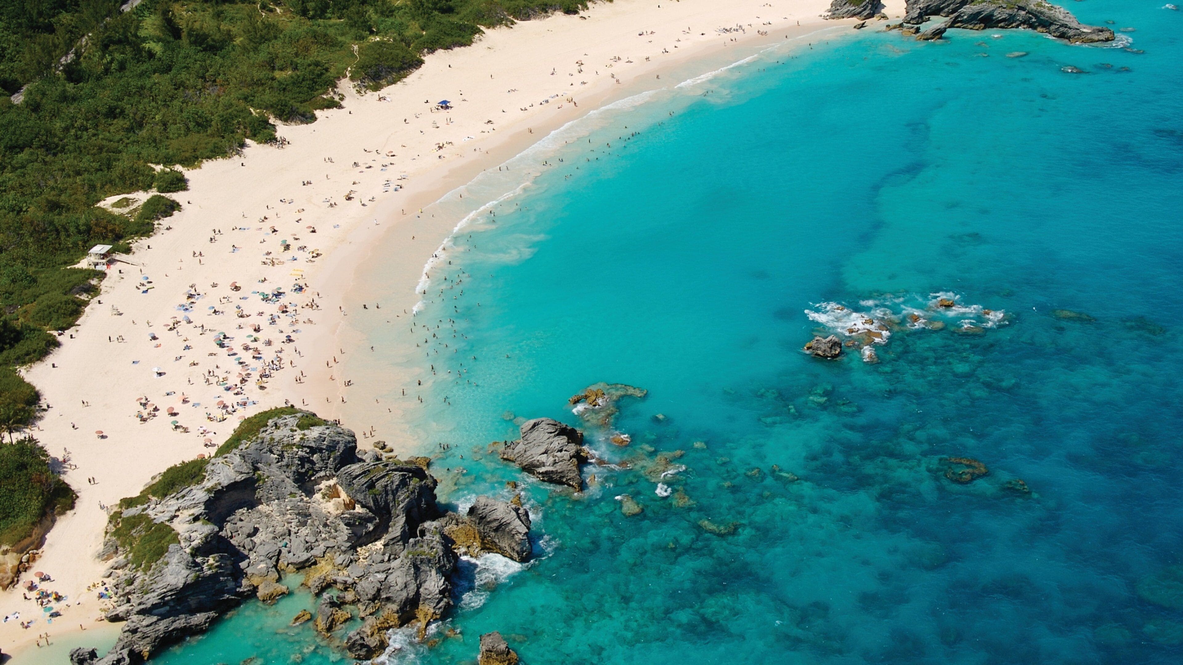 Bermuda showing a sandy beach, a bay or harbor and tropical scenes