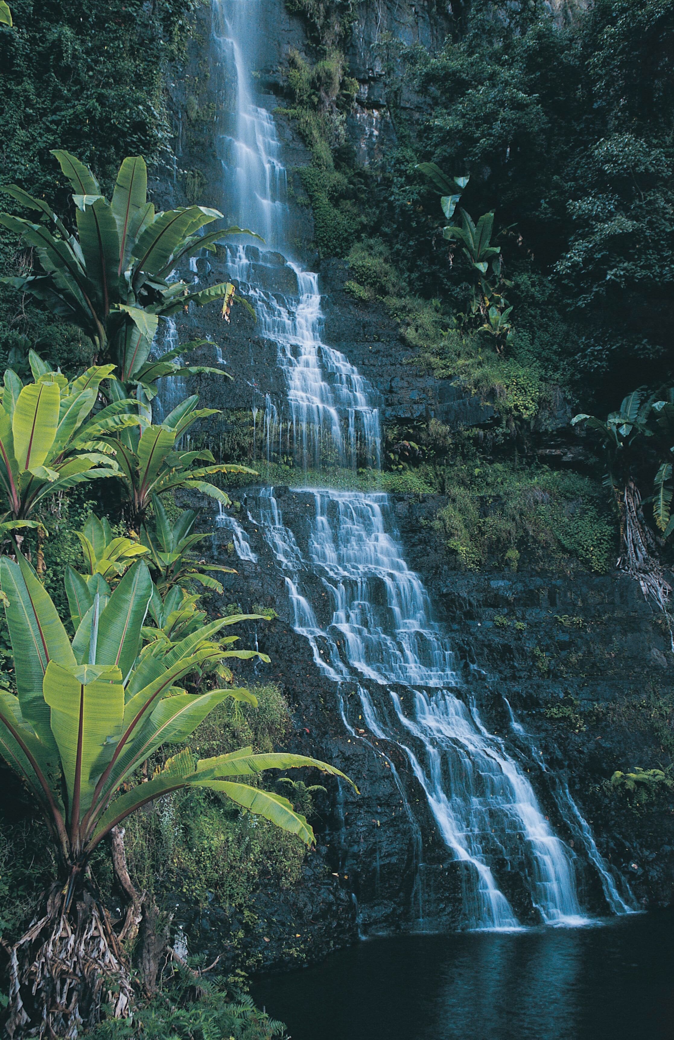 Waterfall - Bridal Falls, Eastern Highlands, Zimbabwe