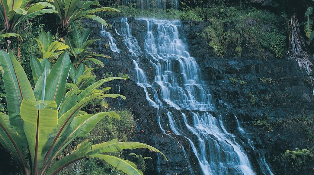 Waterfall - Bridal Falls, Eastern Highlands, Zimbabwe