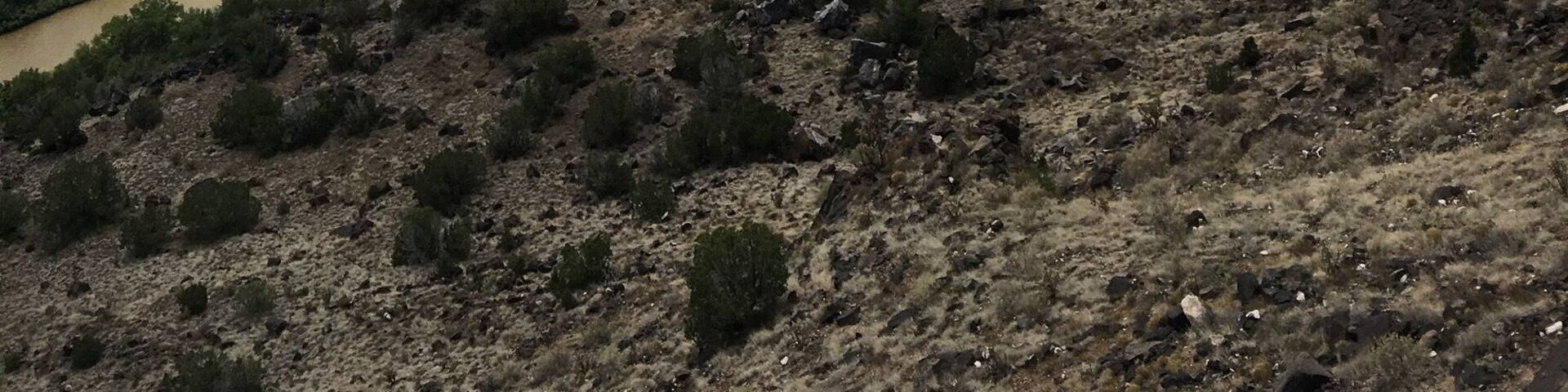 Rio Grande #aquatrove