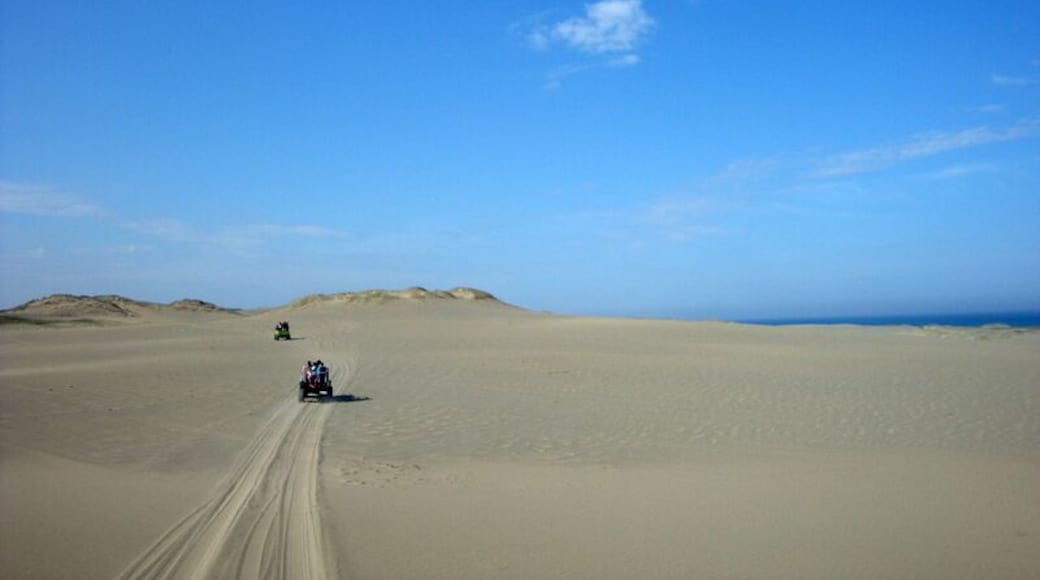 A sand dune, you may think it's all sand and it's boring. But I saw the layers of #blue and it became the highlight of our trip!
You can see the clear sky and the ocean (peeking on the right side of the photo!) while you enjoy a thrilling 4x4 ride.
Also some amazing local residents/young tourist guides/photographers are waiting to take your perfect sand boarding and jump shot! How cool is that?