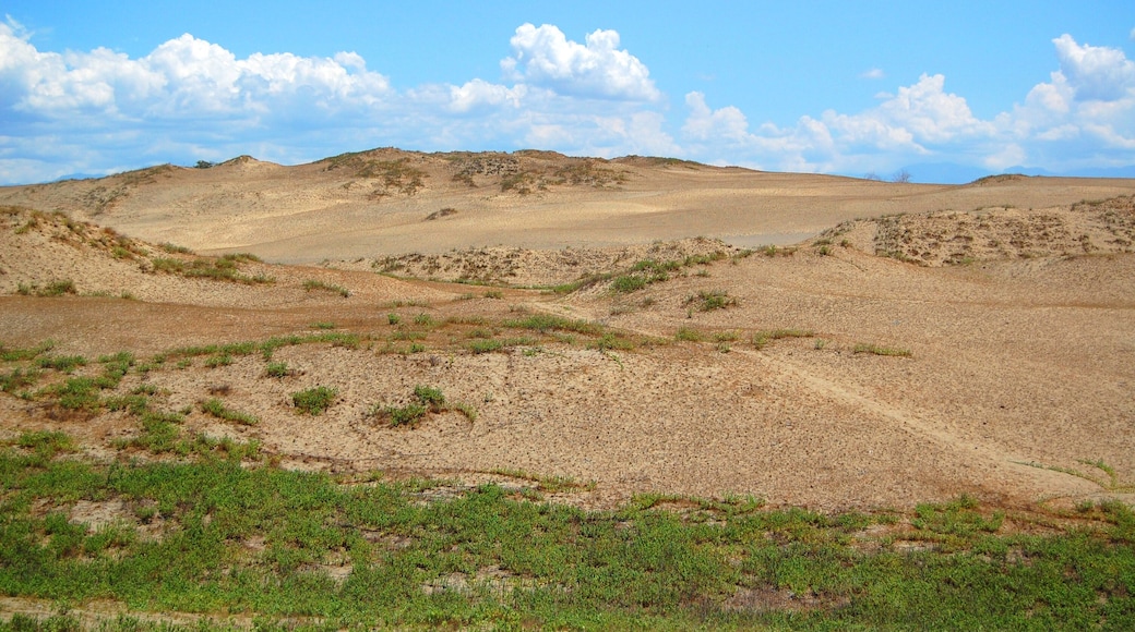 Paoay sand dunes in Laoag City, Ilocos Norte, Philippines