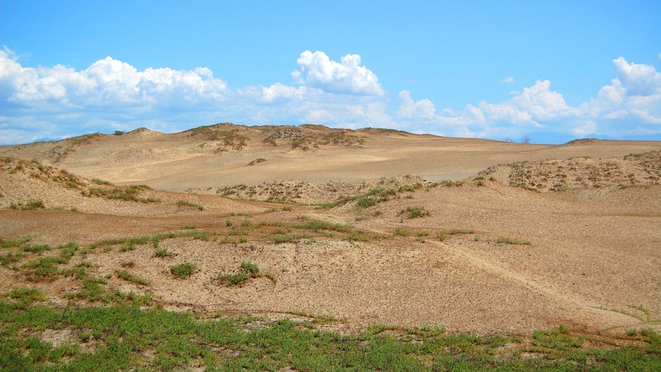 A desert landscape with rolling hills and sparse vegetation.