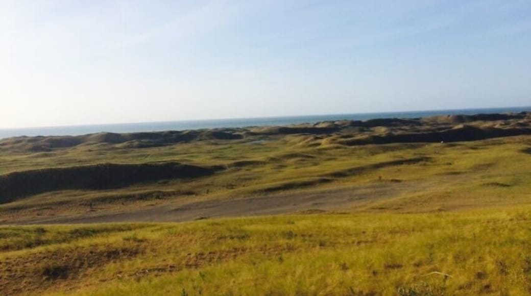 On the way to La Paz Sand Dunes. Exciting!