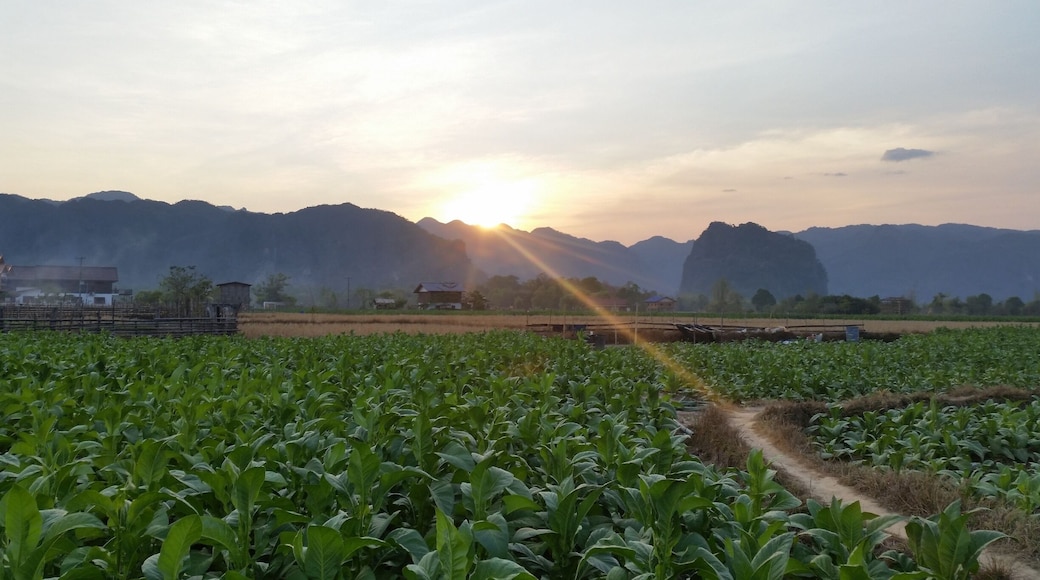 Sunshine, i wanna be here forever if i can. I can live longer with fresh air