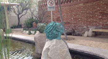 Nice little Art Park in the Center of La Paz. Perfect to get a break from the heat of the streets!