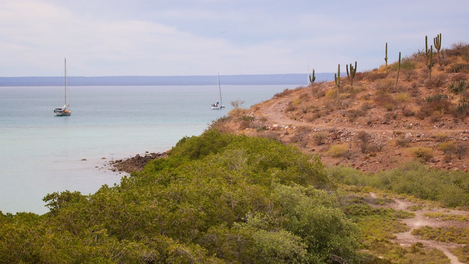 A coastal landscape with a clear sky, a sandy beach, and sparse vegetation.