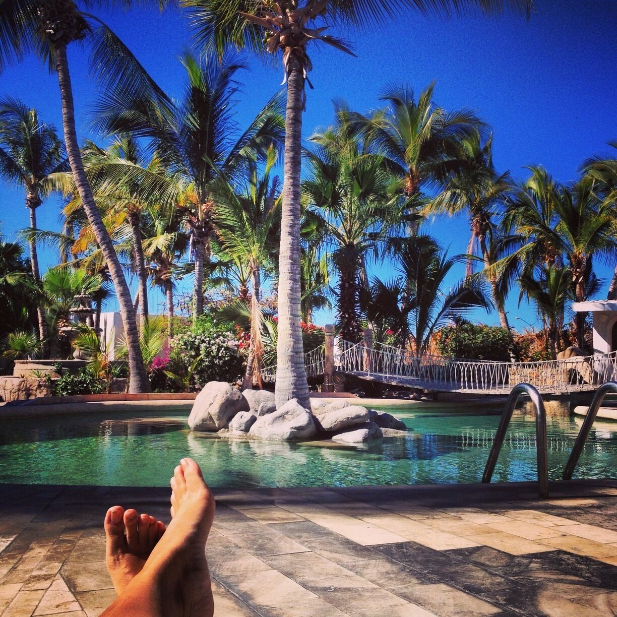 Club El Moro Hotel in La Paz -- not bad, not bad at all. We snagged a super nice room ($90 US), two queen beds, huge bathroom, walk-in closet we could do cartwheels in, private sun deck. El Moro has a lot going on in a subtle way. Their best assets? A figure-eight shaped pool in a palm grove and their bartender, Antonio. He's a wild man. We watched him make 54 piña coladas by hand for a throng of New Yorkers. He even slipped us a few free ones before revving up the hot tub. Want a friendly chat? He's your guy. Club El Moro is right off the Malecon, only a mile and a half from the bus station (a 20 minute walk north). • http://clubelmoro.com.mx • #LaPaz #BajaCaliforniaSur #Mexico #hotels