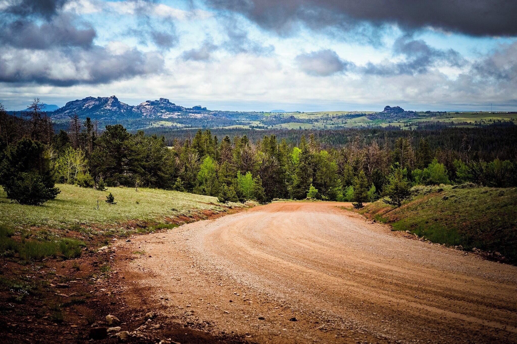 A dirt road winding through a forest with mountains in the background.