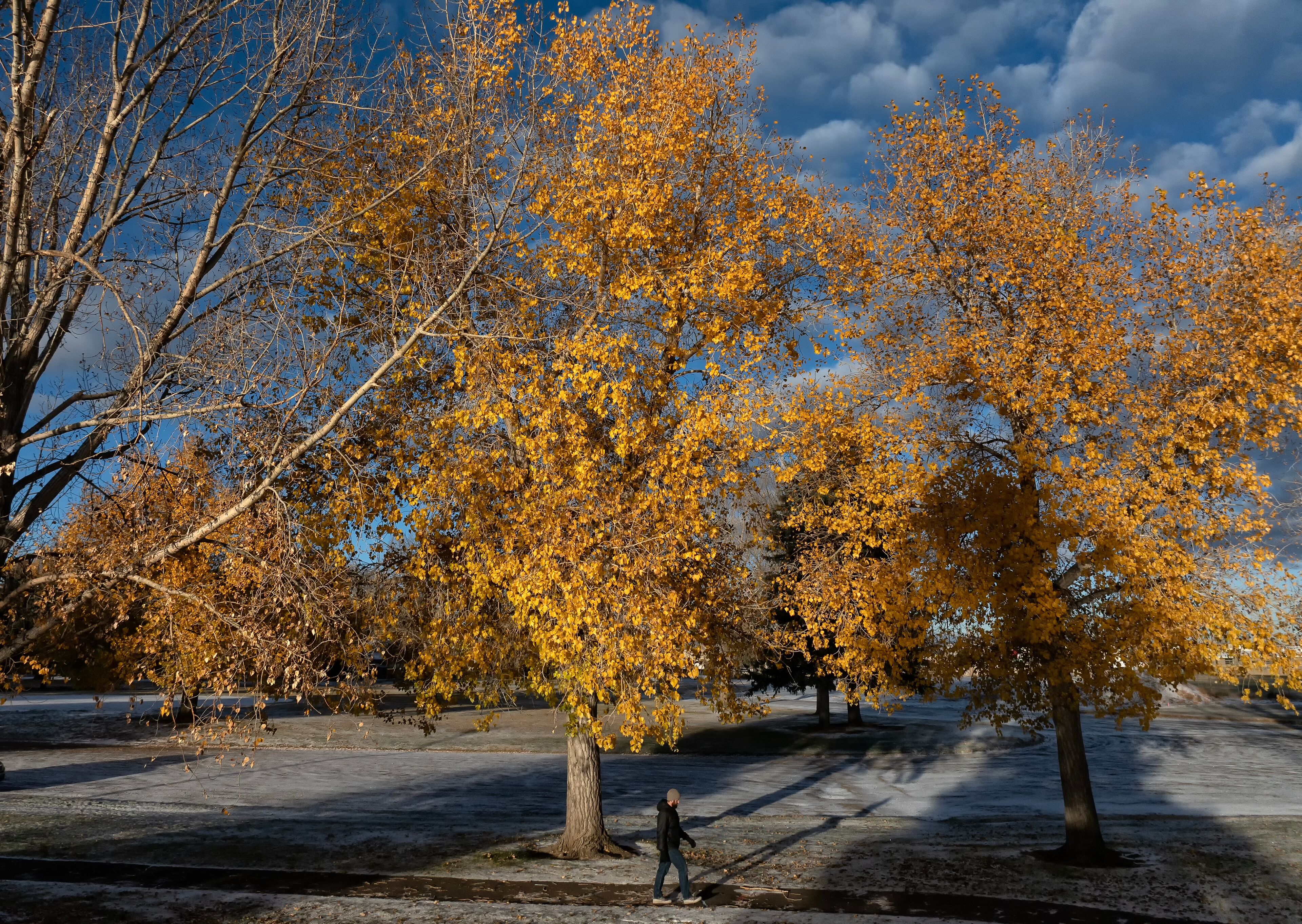 Um parque com árvores de outono, uma pessoa caminhando e um céu claro.