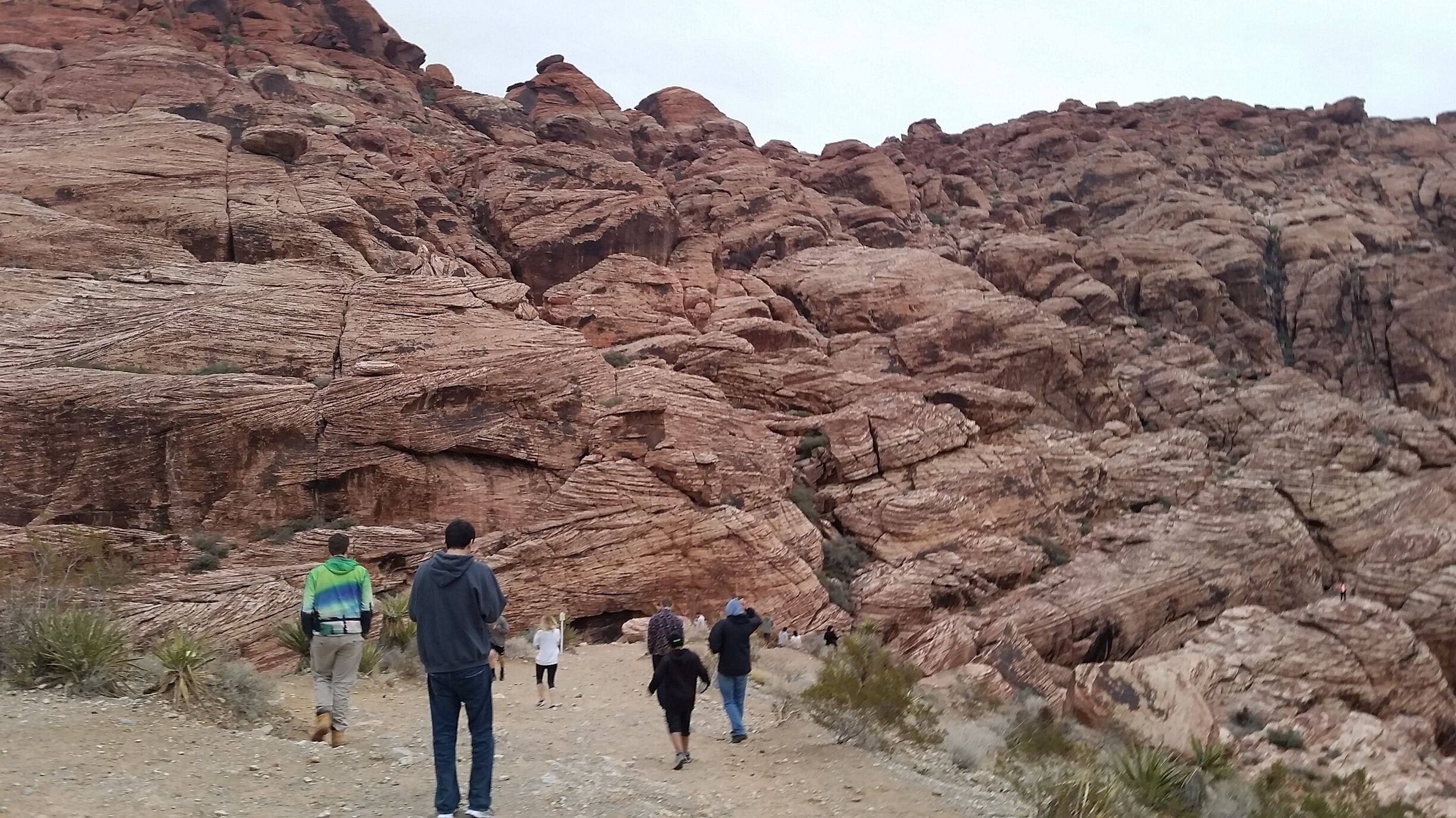 Red Rock is only about 30 minutes from the Las Vegas Strip and is a beautiful place to visit. Take the scenic drive and let the kids hike and climb around the pink rocks at the  first stop.
#outdoors 
#nature 
#hiking 
#Nevada 
#LasVegas
#UStravel 
#scenic