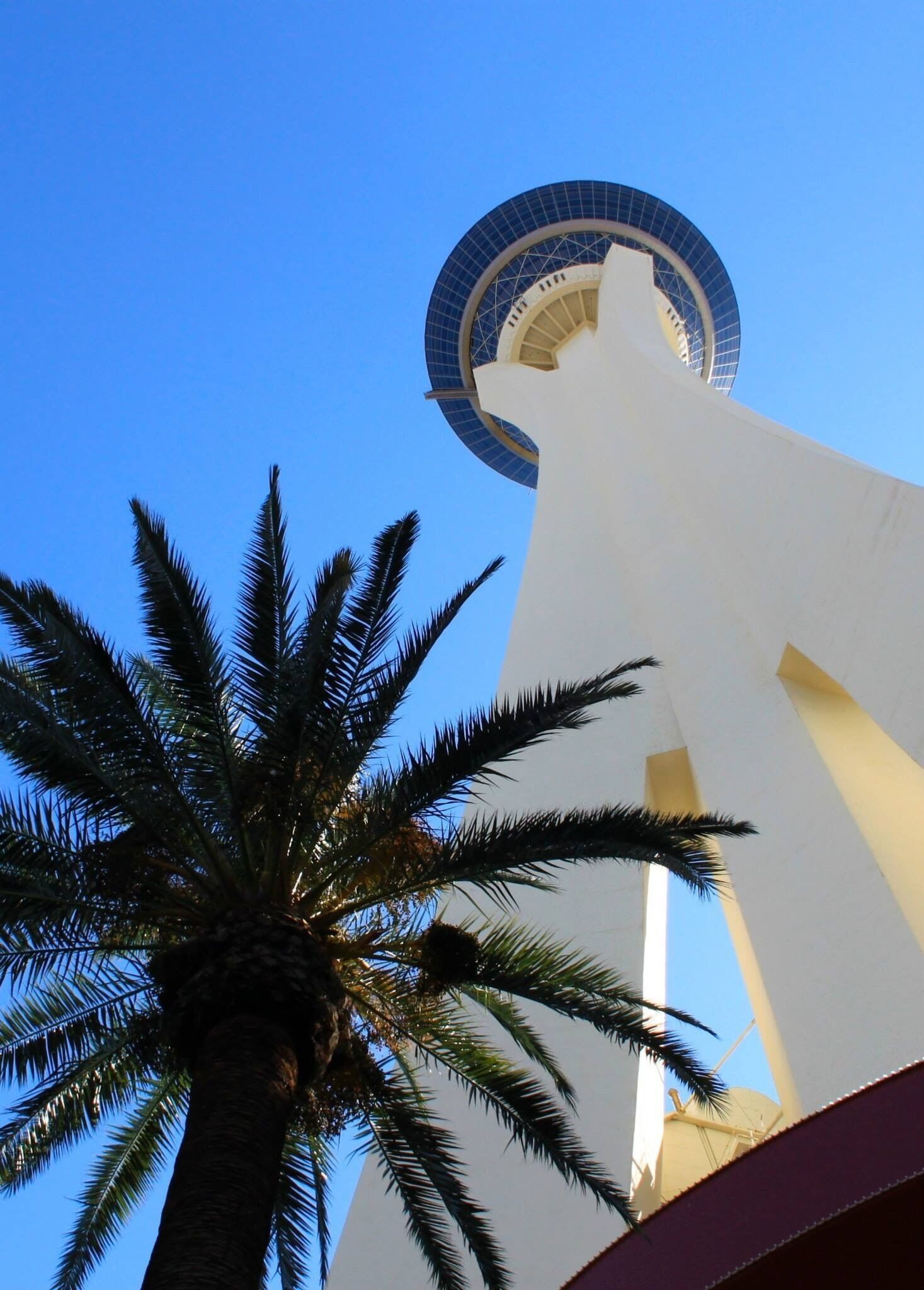 Stratosphare hotel & casino - went here for the view